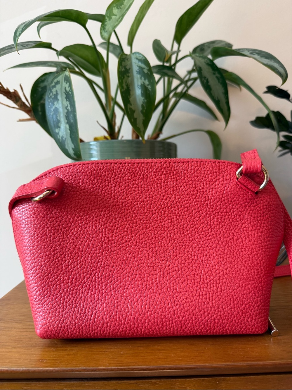 Cuyana Pebbled Leather Crossbody Bag - Picture 3 of 10